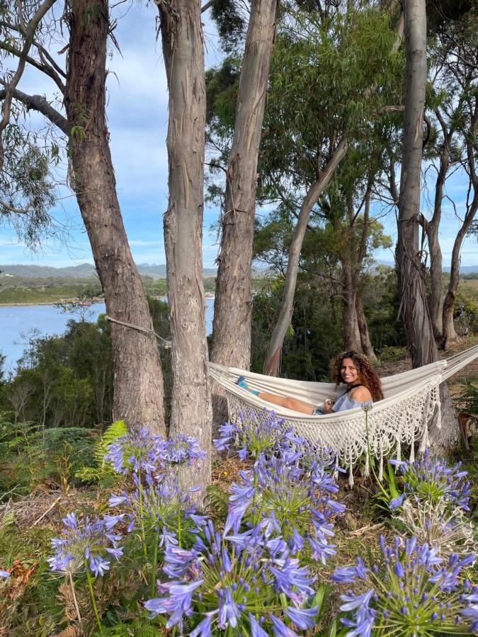 Strahan Wilderness Lodge Bagian luar foto