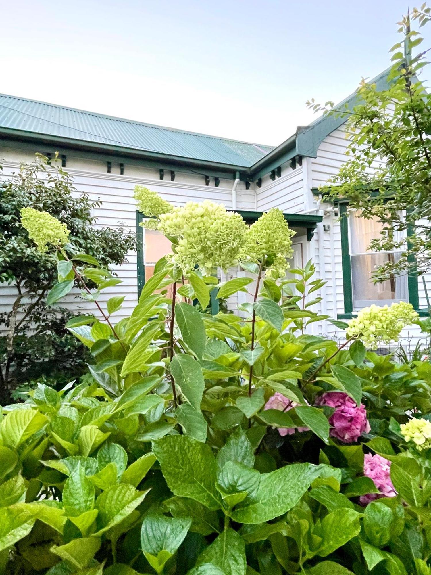 Strahan Wilderness Lodge Bagian luar foto