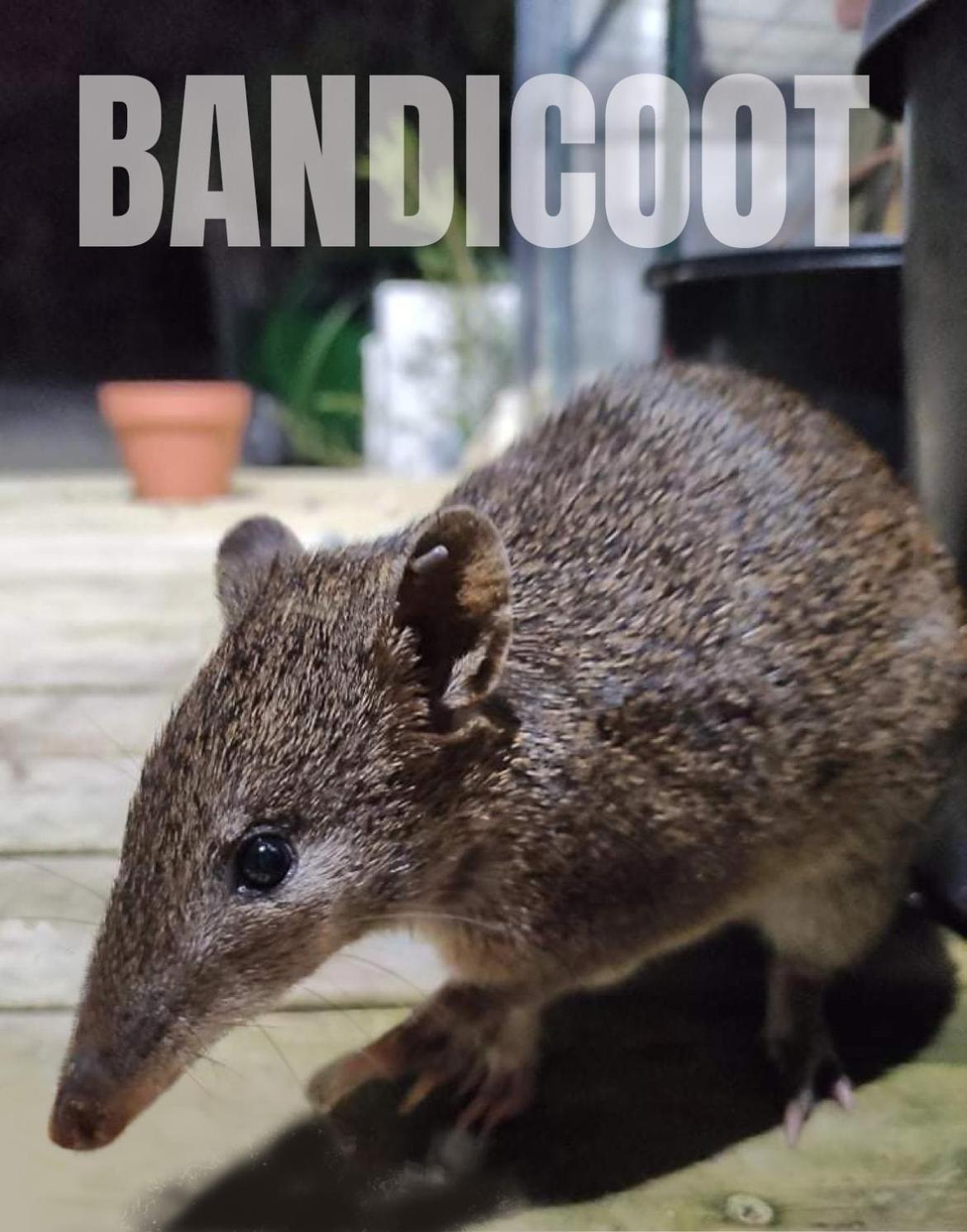 Strahan Wilderness Lodge Bagian luar foto