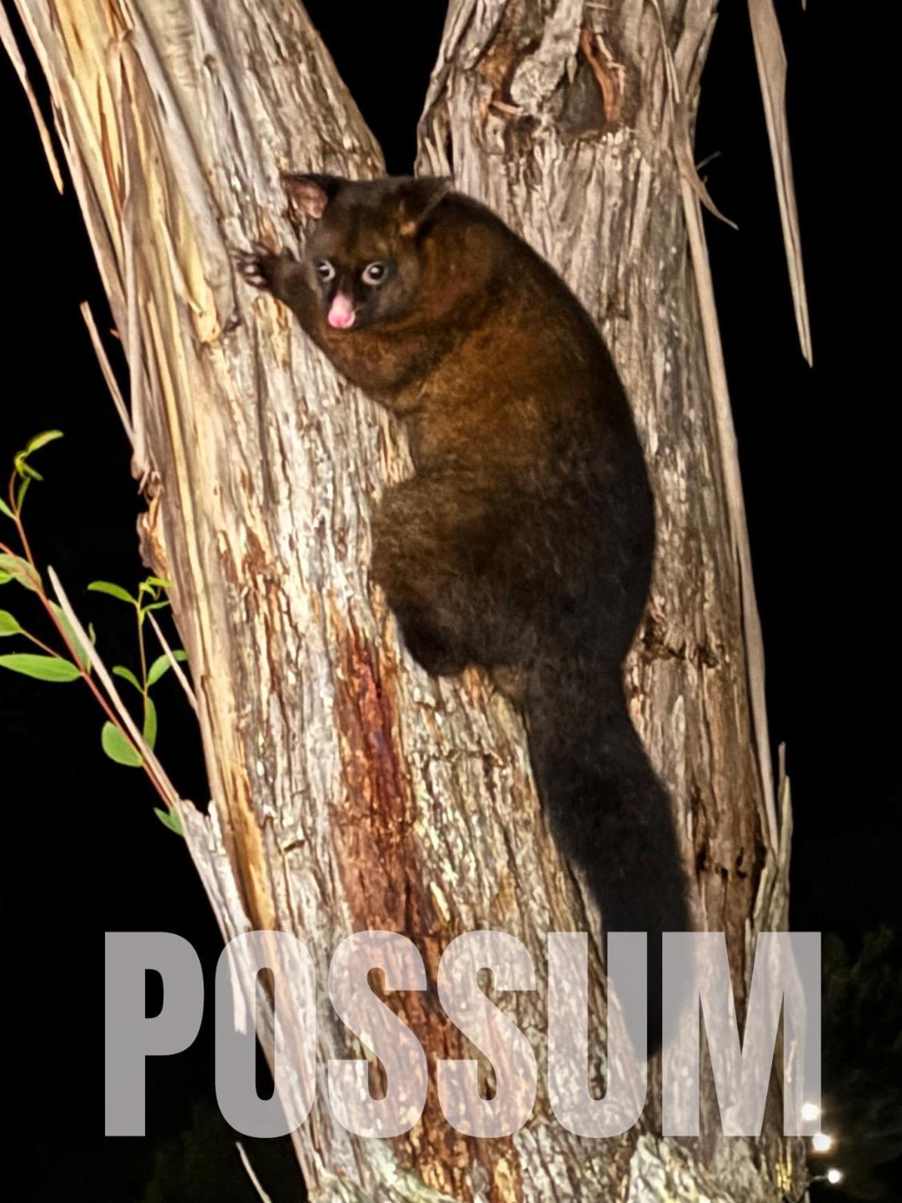 Strahan Wilderness Lodge Bagian luar foto