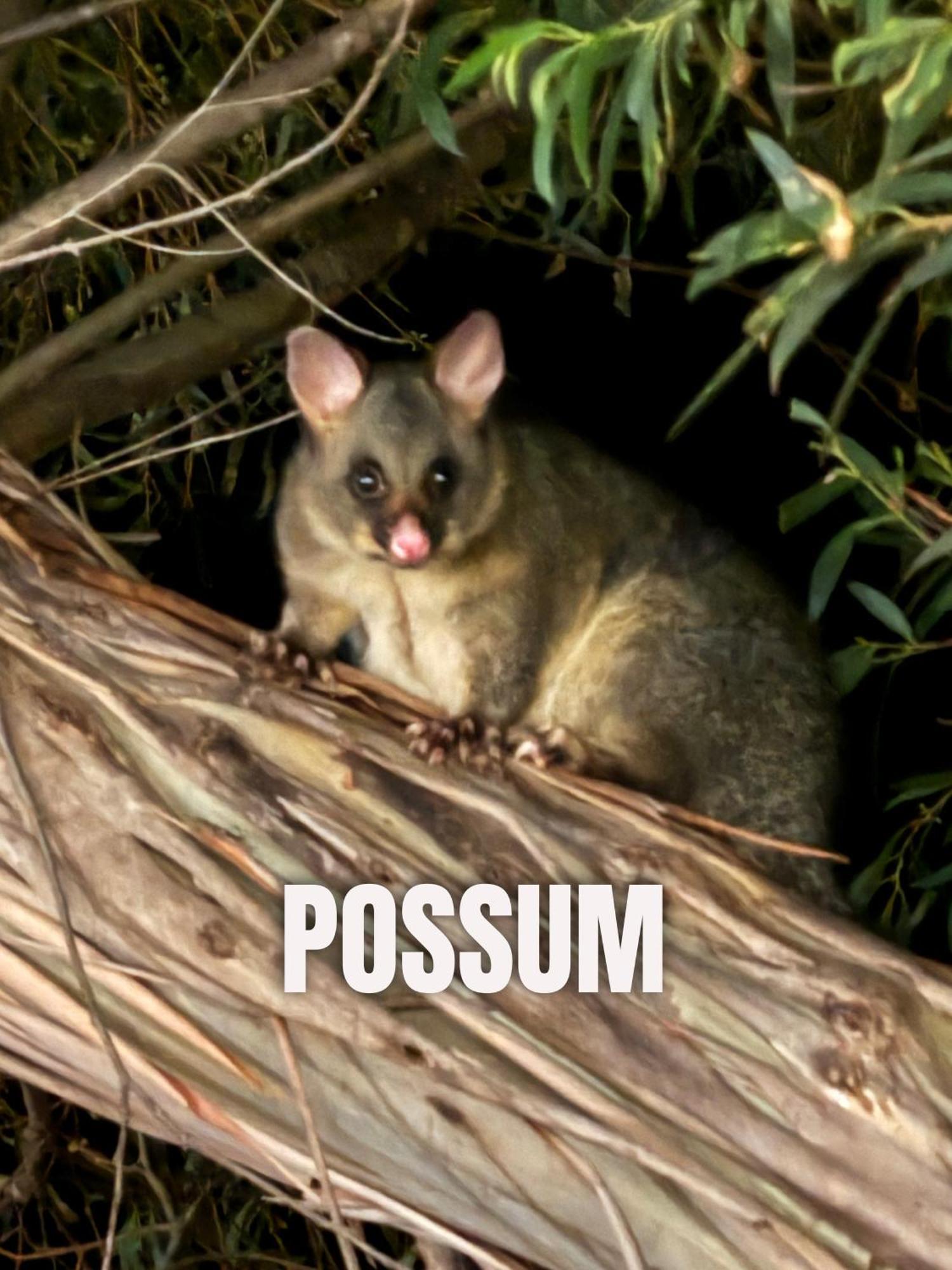 Strahan Wilderness Lodge Bagian luar foto